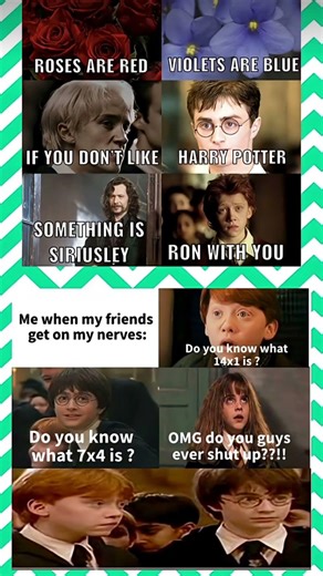 If you don’t like Harry Potter… something is Ron with you 😂🧙‍♂️#HarryPotter #Hogwarts #PotterMemes