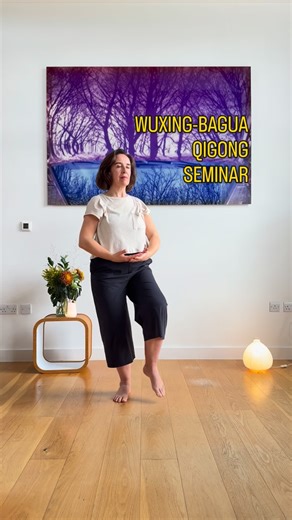 WUXING–BAGUA QIGONG translates as Five Elements and Eight Trigrams Qigong. This Qigong method combines exercises that strengthen the internal energy of the five main organs of Traditional Chinese Medicine (TCM), associated with the Five Elements Theory: Lungs, Kidneys, Liver, Heart, and Spleen. CONTENT OF THE SEMINAR: As the main practice of this seminar, we will focus on the five Yin forms of the WUXING–BAGUA QIGONG method. Each of these forms produces an internal massage for its corresponding 