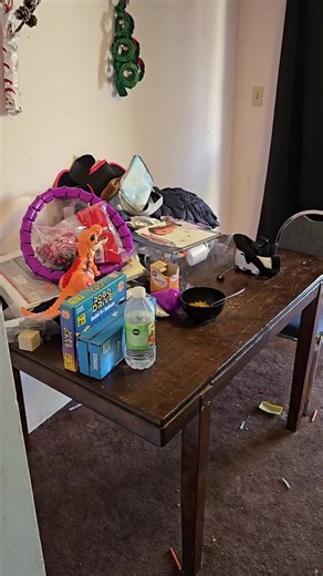 no one said after the cleaner's left that I was going to be a spotless clean person.That's just not my reality.But what is is we are pushing through?And making it work