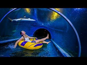 Yes… There Are REAL Sharks 🦈 Inside This Water Slide