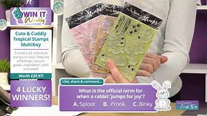 8.4K views · 74 reactions | The January £1 shop is here! Join Craig and Cat as they take you through the amazing products we have for just £1. | Hunkydory Crafts | Facebook