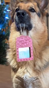 Buck thank you for helping me with some of the really special ornaments 🥹 I hope this makes you smile ❤️ Merry Christmas everyone 🎄 | Smiley