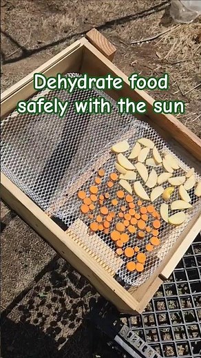 Solar Food dehydrator DIY. #fooddehydrator #growyourownfood