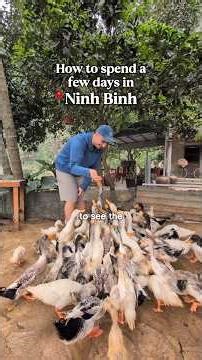 How to spend a few days in Ninh Binh 🇻🇳 🐐 🛶