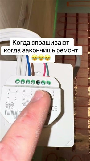 When will you finish the renovation?)