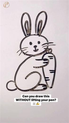 Can you draw this WITHOUT lifting your pen? 🐰✍️ #challenge #drawing