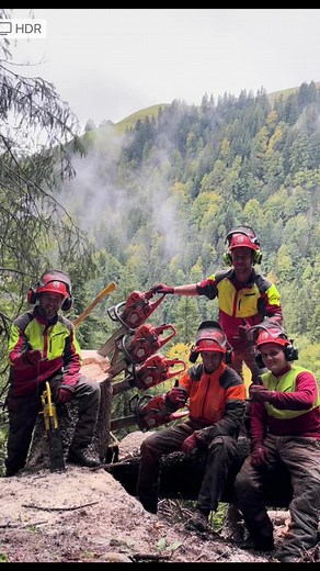 #schlüchtertrub #lohnerausleidenschaft #swiss #swissmountains #logging #logger #woodworking #husqvarna #pfanner #foryou #nice #vollepulle #einhochaufsteam@jaenu0 @_stifu122 @Adrian Schlüchter