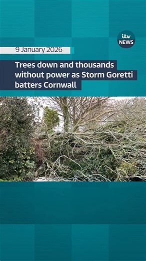 The clean up operation has begun in Cornwall following the high wind brought by Storm Goretti. Thousands of homes are still without power and many are facing severe travel disruption on the roads and the railways. Volunteer tree surgeons were clearing the roads in the village of Stithians this morning which has been blocked in by fallen trees. Trees were also down in Mawnan, with all routes out of the village blocked. #itvnews | ITV News West Country