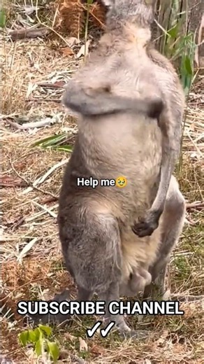 😅😅😅