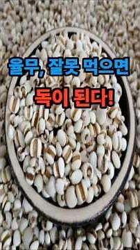 율무의 놀라운 효능! 꼭 알아야 할 율무와 함께 먹으면 좋은 음식 vs 나쁜 음식 #율무효능 #부종완화 #피부미백 #다이어트식단 #항염작용 #율무차 #체질별음식 #다이어트음식