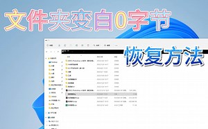文件夹变白色0字节文件怎么办？文件夹变白色0字节文件的恢复方法