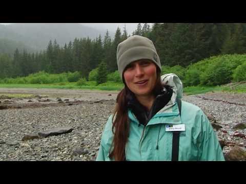 America's Largest National Forest