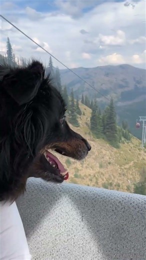 Everything you need to know before riding the Mount Rainier Gondola at Crystal Mountain ⛰️🚠 If
