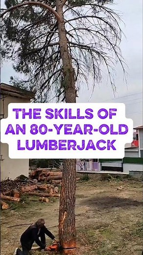 Will this house be hit by a tree?