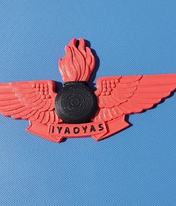 US Navy Aviation Ordnanceman AO IYAOYAS Wings - Etsy