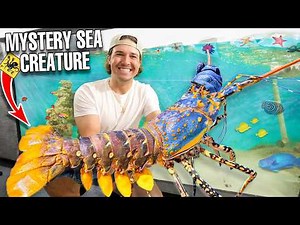 Stocking My SALTWATER POND with HUNDREDS of EXOTIC SEA CREATURES!