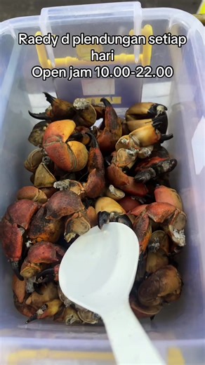 Open Jam Experience in Purwodadi