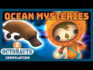 @Octonauts - 🦑 Mysteries in the Deep! 🚢 | 30 Mins  Full Episodes Marathon - Videos For Kids