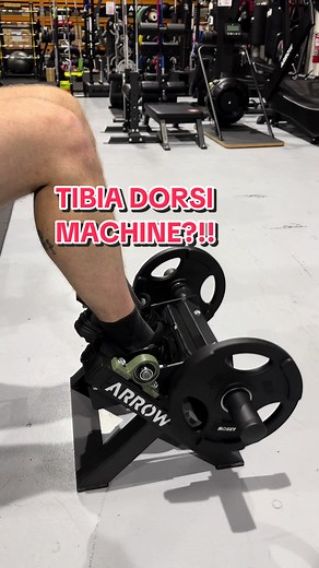 SouthernXFitness on TikTok