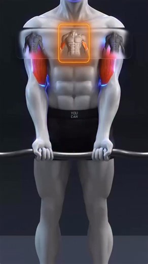 ApexHealth on Instagram: "🔥 Change Your Grip, Change Your Biceps"