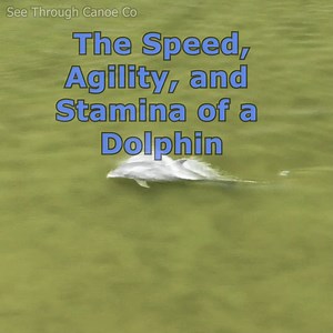 85K views · 1.3K reactions | Fast Food! This video is a great example...