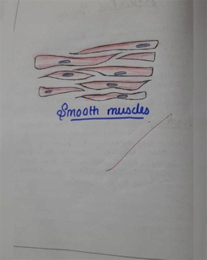 biology practical file #class9 #biology #viralshort