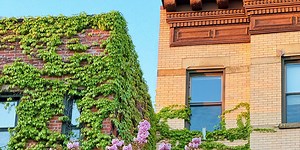 What I learned from going through the US immigration system