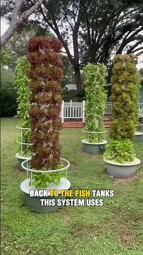 How Aquaponics Systems Work