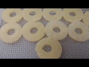 Dehydrating store bought Pineapple Rings! Tastes like CANDY!