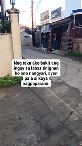 7.2K views · 32 reactions | Kala ko nasa loob siya ng kanilang bahay naka labas pala. #doglover #dog #doglife #doggo #dogoftheday | Bam Munnoch | Facebook