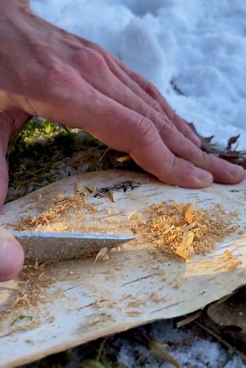 SURVIVAL SKILLS: Fire Starting with WET BIRCH BARK and Magnesium 🔥 #camping #survival #lifehack #skills #ideas #bushcraft #outdoors #forest