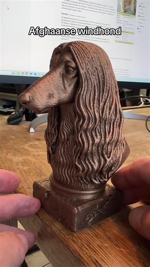 De afghaanse windhond is een prachtige vrijwel onafhankelijke hond. Bijzonder aan deze hond zijn zijn hele lange haren behalve op zn snuit daar zijn ze kort. Ik voeg altijd een wiki link naar het ras toe op de webshop. . #3dprinting #afghaan #windhond #dog #hond