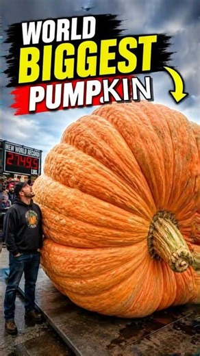 Why Destroy a Record-Breaking Pumpkin? 😱 #mindmash