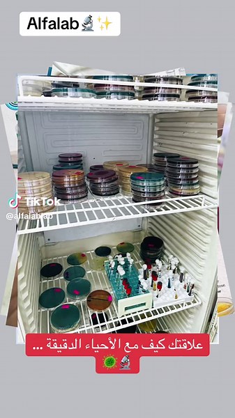 علم الأحياء الدقيقة (Microbiology) هو العلم الذي يدرس الكائنات الحية المجهرية وحيدة الخلية أو عديدة الخلايا الدقيقة، مثل البكتيريا، الفيروسات، الفطريات، الأوليات، والطحالب، والتي لا تُرى بالعين المجردة. يركز هذا العلم على تركيبها، وظائفها، وتفاعلاتها مع البيئة، ويعد أساسياً في مجالات الطب، الزراعة، والصناعة. مستشفى بيروني مستشفى بيروني 2 أهم النقاط حول علم الأحياء الدقيقة: أنواع الكائنات الدقيقة: تشمل البكتيريا (الجراثيم)، الفيروسات، الفطريات (مثل الخمائر والعفن)، والأوليات. أهمية المجال: الطب و