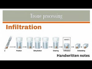 Infiltration In Tissue Processing |Histopathology | Tissue Processing |Part 5