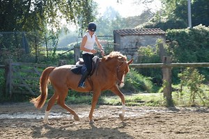 Simulateur équestre - Cheval Mécanique