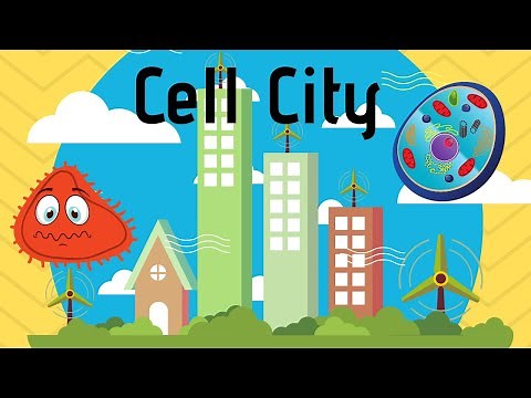Cell City Analogy-Learn the Cell Parts