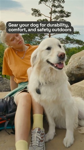 Three Must-Have Features for Outdoor Dogs