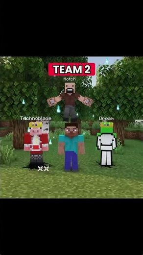 TEAM 1 VS TEAM 2 #minecraft