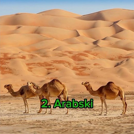 Najtrudniejsze języki na świecie #ciekawostki #geografia