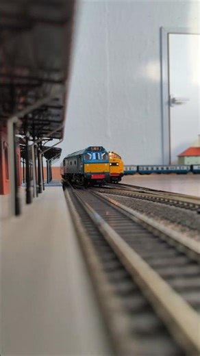 Class 25 Class 37 #modelrailway #modeltrains #britishrailways #train #trains #zug #züge #trein