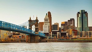 Bee Removal Cincinnati - Bee Safe Bee Removal