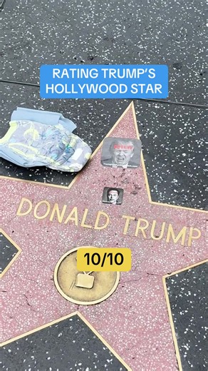 What would you rate each day? #donaldtrump #california #hollywood | hollywood star