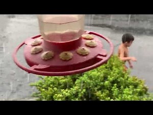 Heaviest rain ever pt 2