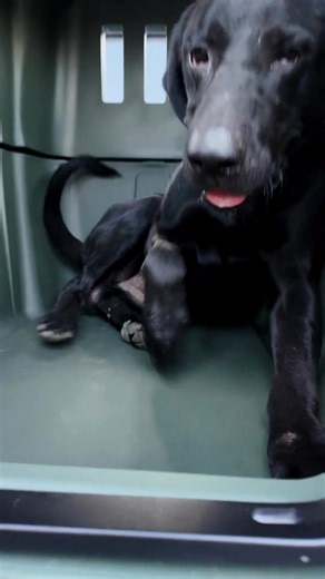 7.8K views · 67 reactions | Dare we call this Luke's best setup yet? | GUNNER | Facebook