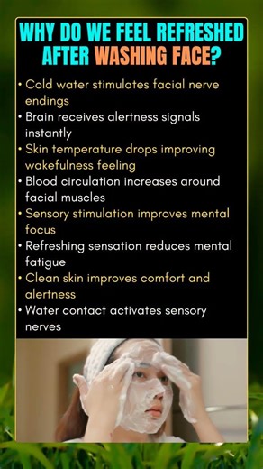 Why do we feel refresh after washing face? #facts
