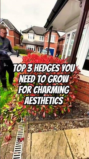 Top 3 Hedge Plants That Can Make Your Home Aesthetically Charming | Garden Improvement Tips Part - 2