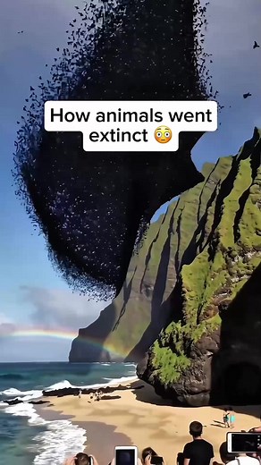 1.1M views · 14K reactions | How animals went extinct  | Real E | Facebook