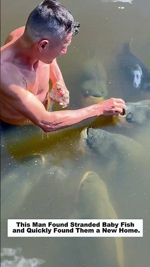 This Man Found Stranded Baby Fish and Quickly Found Them a New Home.