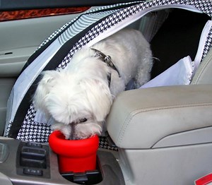 To Go Bowl: A Travel Dog Water Dish That Fits In Your Cars Cupholder